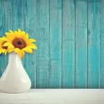 Guida alla scelta dei vasi di fiori e di piante