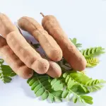 Tamarindo: proprietà, usi e benefici